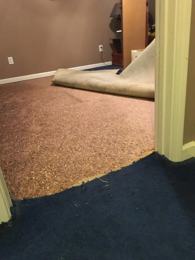 Carpet pad removal revealing water damage during Water Mitigation Services in Hazelwood
